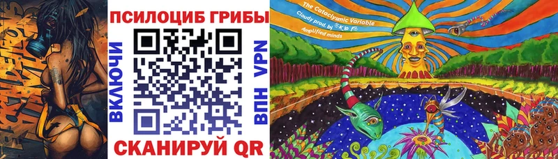 Псилоцибиновые грибы Cubensis  Горячий Ключ 