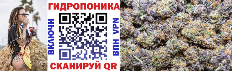 где можно купить Горячий Ключ OMG ONION Бошки марихуана OG Kush